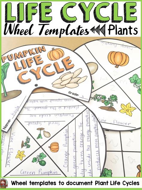 Use this fun hands-on spinner wheels pack to document the life cycles of plants. Both black an ...