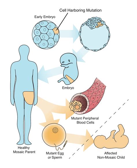 Combined medical research training shines light on mosaicism ...