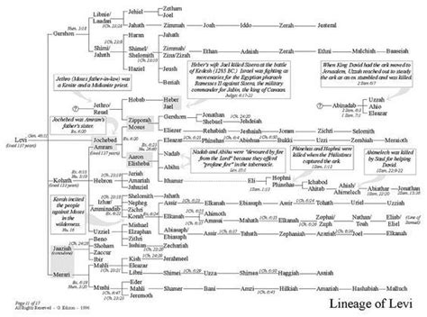 Lineage of Levi Diagram