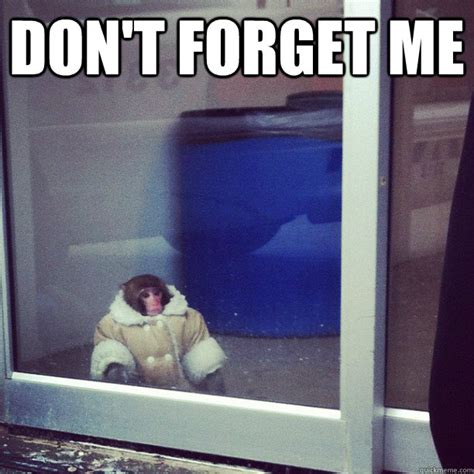 DON'T FORGET ME - Ikea Monkey - quickmeme