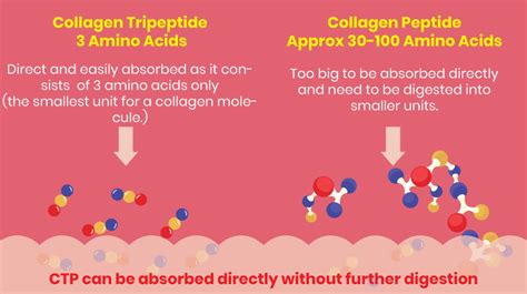 TriCollagen | Collagen Tripeptide With Glutathione & Omega 3, 6, 7, 9