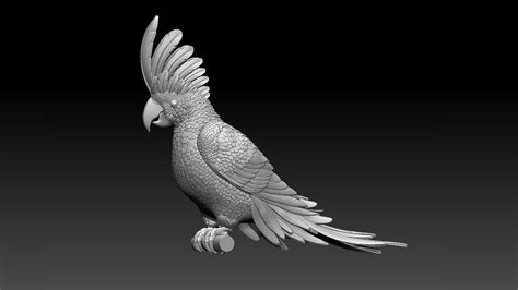 3D Parrot - TurboSquid 1765594