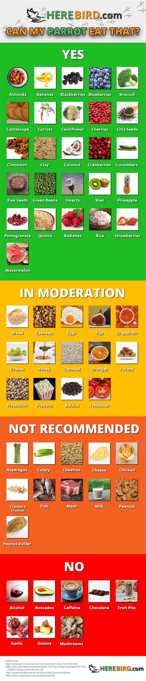 Full Guide to Safe (and non-safe) Foods for Parrots - Birding Planet