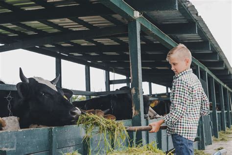 The Benefits of Raising Farm Animals for Kids - Wathen Insurance