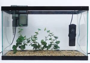 3 Best small aquarium heaters for tiny tanks 1 - 10 gallons