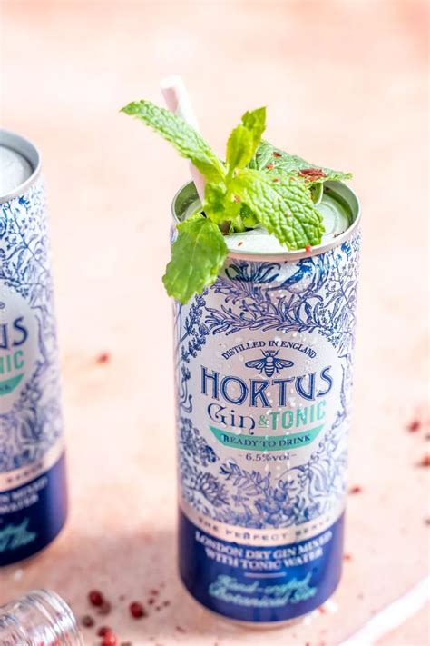 In pictures: Lidl is selling delicious gin cocktails in a can from just €1.49 - RSVP Live