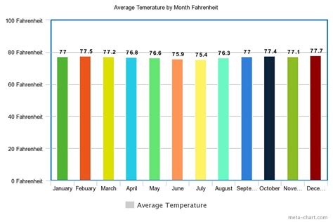 Tropical Rainforest Climate Graph