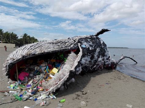 A Giant Beached Whale Illustrates the Plastic Pollution Problem ...