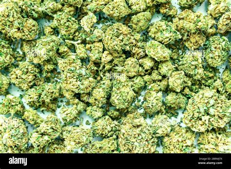 Background of cannabis buds, marijuana weed. Top view Stock Photo - Alamy