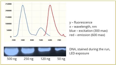 StainIN™ RED Nucleic Acid Stain