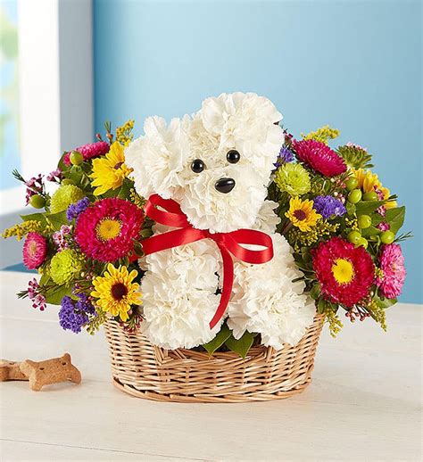 Dog Sympathy Flowers | ubicaciondepersonas.cdmx.gob.mx