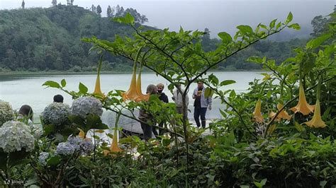 Sunrise Trip Sikunir dan Telaga Warna Dieng dari Yogyakarta - Klook Indonesia