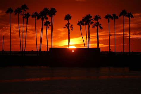 Home - Cruise San Diego | Sunset cruise, Booze cruise, Best sunset