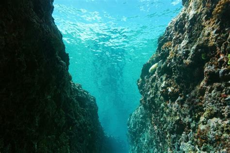 Deep ocean trenches are holding much more water than had been thought • Earth.com