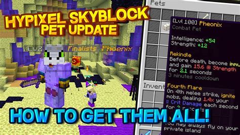 20+ Best Starter Pets Hypixel Skyblock - healthinvestsite