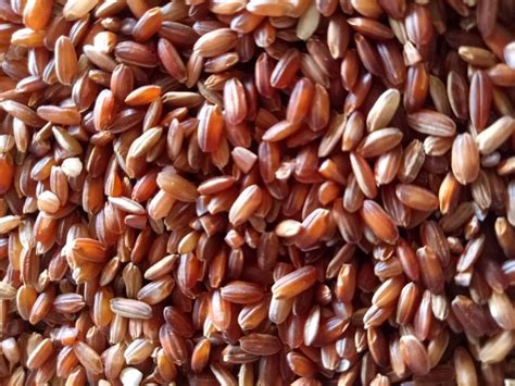 RED RICE ASSAM RICE, Bag, Rs 70 /kg Apt International Business | ID: 23483203688