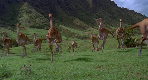 Gallimimus flocking scene | Jurassic Park Wiki | Fandom