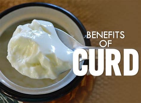 5 Impressive Health Benefits Of Eating Curd | Wirally