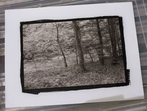 Working Pictures: More Platinum/Palladium Prints