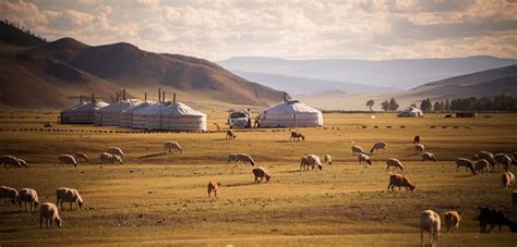 Unfolding 40 million years of Asian steppe history - ScienceBlog.com