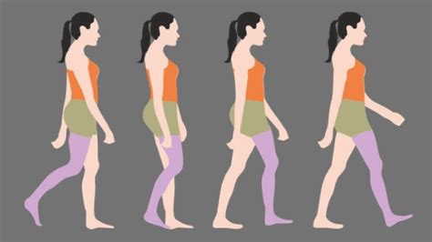 Gait Cycle Phases