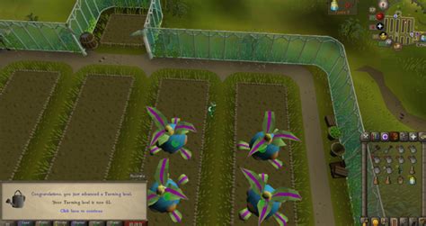 Tithe farming guide osrs