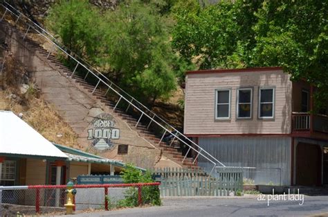 Bisbee Arizona - The Great Stair Climb... | azplantlady.com