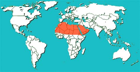 Map Of Sahara Desert : Where Is The Sahara Desert On A Map Cvln Rp / Political map of africa ...