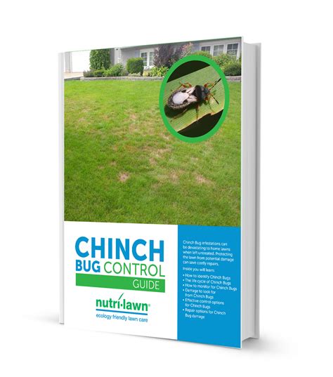 Chinch Bug Control | Nutri-Lawn