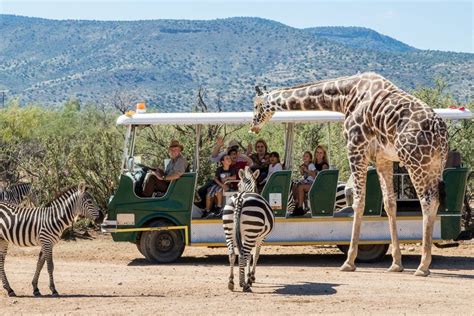 Vote - Out of Africa - Best Safari Park Nominee: 2020 10Best Readers' Choice Travel Awards