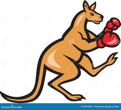 Kangaroo Kick Boxer Boxing Cartoon | CartoonDealer.com #39917165