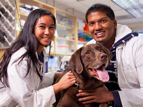 Colleges That Offer Veterinary Programs Near Me - INFOLEARNERS