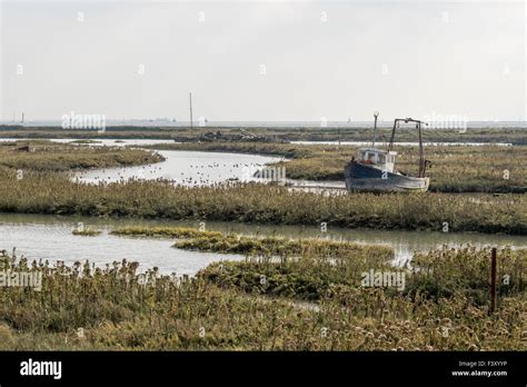 A view across the Thames Estuary salt marsh from Leigh on Sea at close to high tide Stock Photo ...