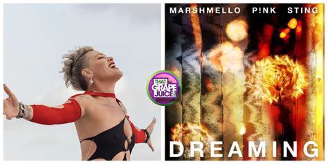 New Song: P!nk - 'Dreaming' (featuring Marshmello & Sting) - That Grape ...