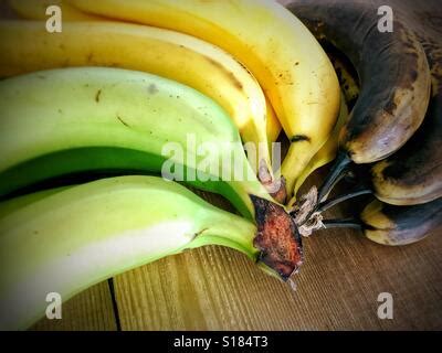 Bananas of different stages of ripening on a wooden surface Stock Photo: 310580717 - Alamy