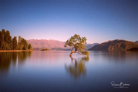 That Wanaka Tree – Bostocks Photography