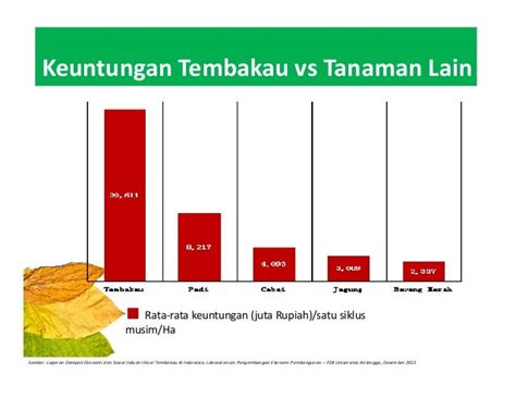 Seputar Pertanian Tembakau di Indonesia