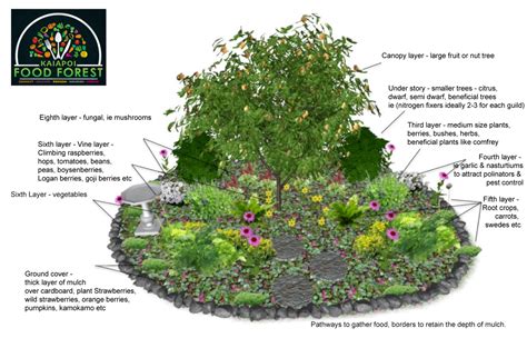 Learn how to create your own food forest at home