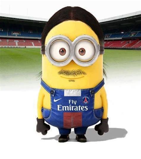 44 best Minions dressed as soccer players images on Pinterest ...