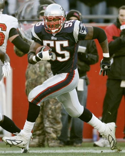 Willie McGinest | Nfl new england patriots, New england patriots ...