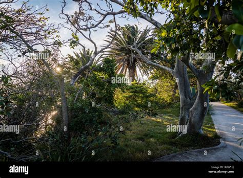 Cremorne Point Nature Reserve, Sydney, NSW, Australia Stock Photo - Alamy