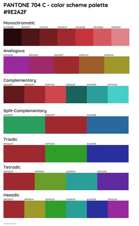 PANTONE 704 C color palettes - colorxs.com