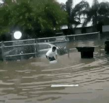 Flood GIFs | Tenor