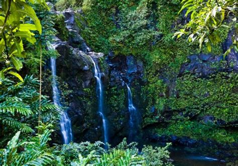 Full day Hana waterfall and rainforest hike, see a spectacular Maui