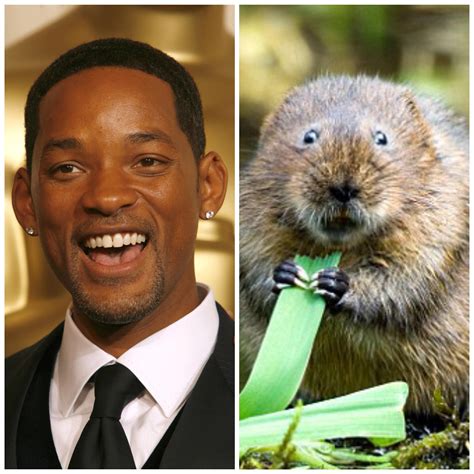 Will Smith looks like a ***VOLE*** : r/voles