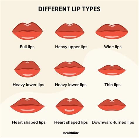 Types of Lips: Lip Care, Lip Enhancement, and Lip Facts | Lip care, Lip types, Lip shapes