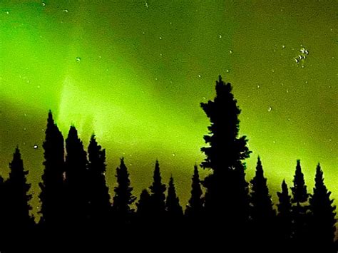 Northern Lights in Alaska: How to See Them • Earth by Foot