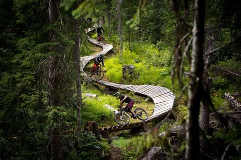 A wooden mountain bike trail winds through dense vegetation. | Vacation trips, Bike trips ...