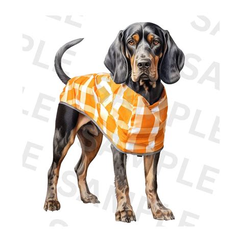 Smokey Tennessee Vols Mascot Art Print Transparent PNG for Sublimation Printing Tennessee Vols ...