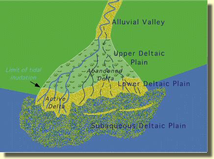 Anatomy Of A Delta: The Foundation Of New Land Restore The, 57% OFF